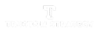 Trustom Cyber logo
